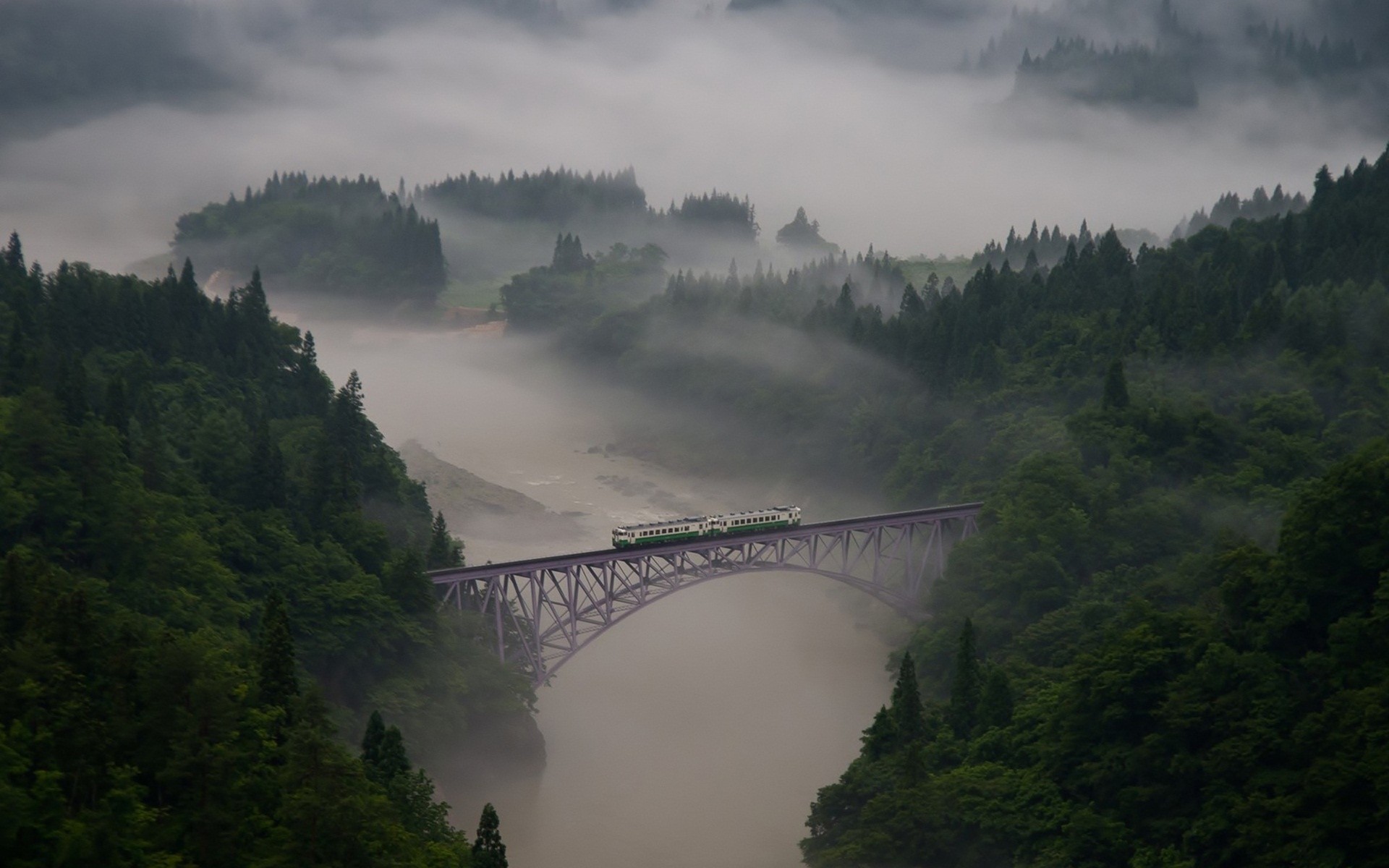 foresta ponte nebbia treno