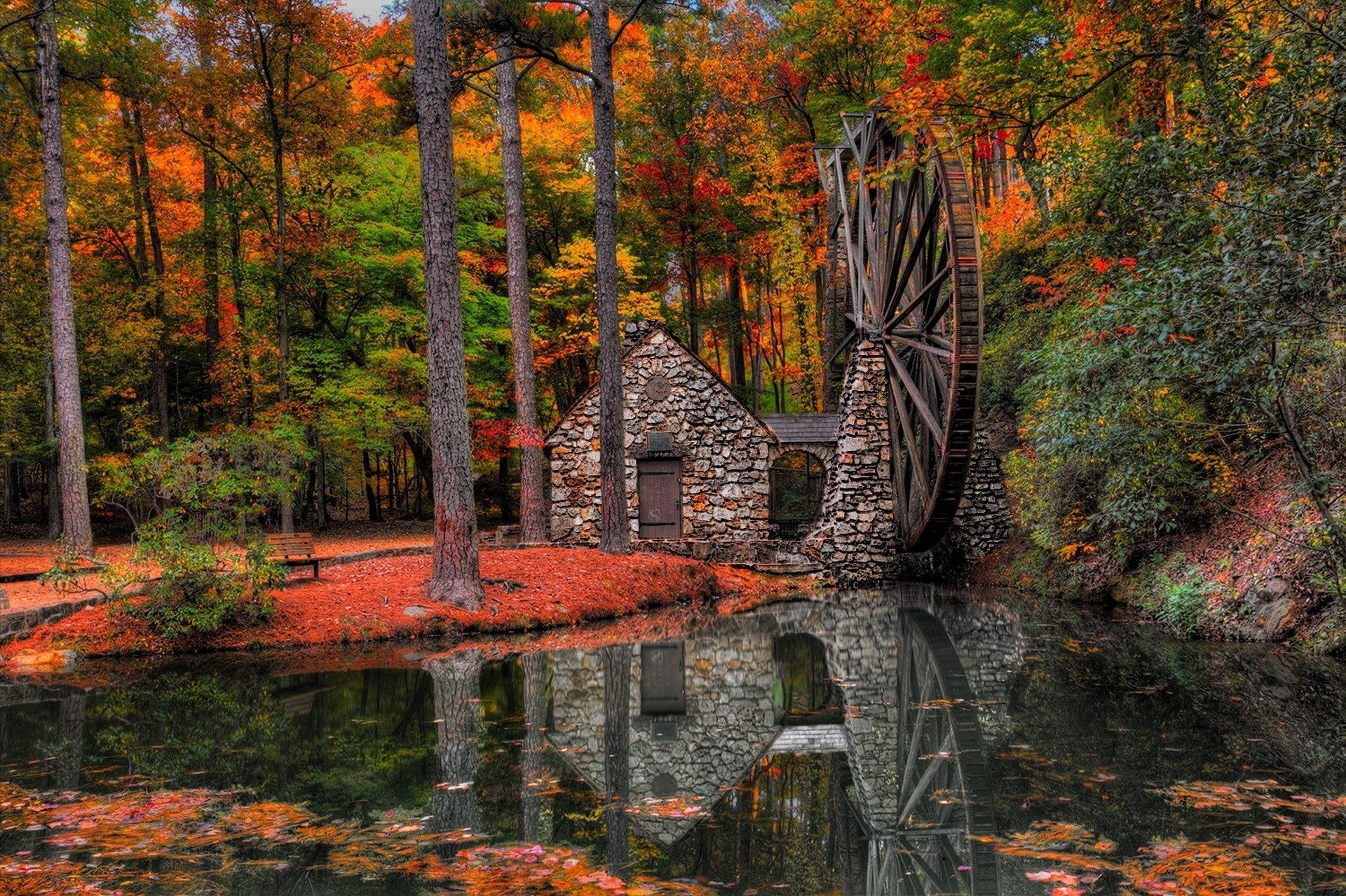 moulins feuille moulin à eau parc palmiers forêt allée marche automne