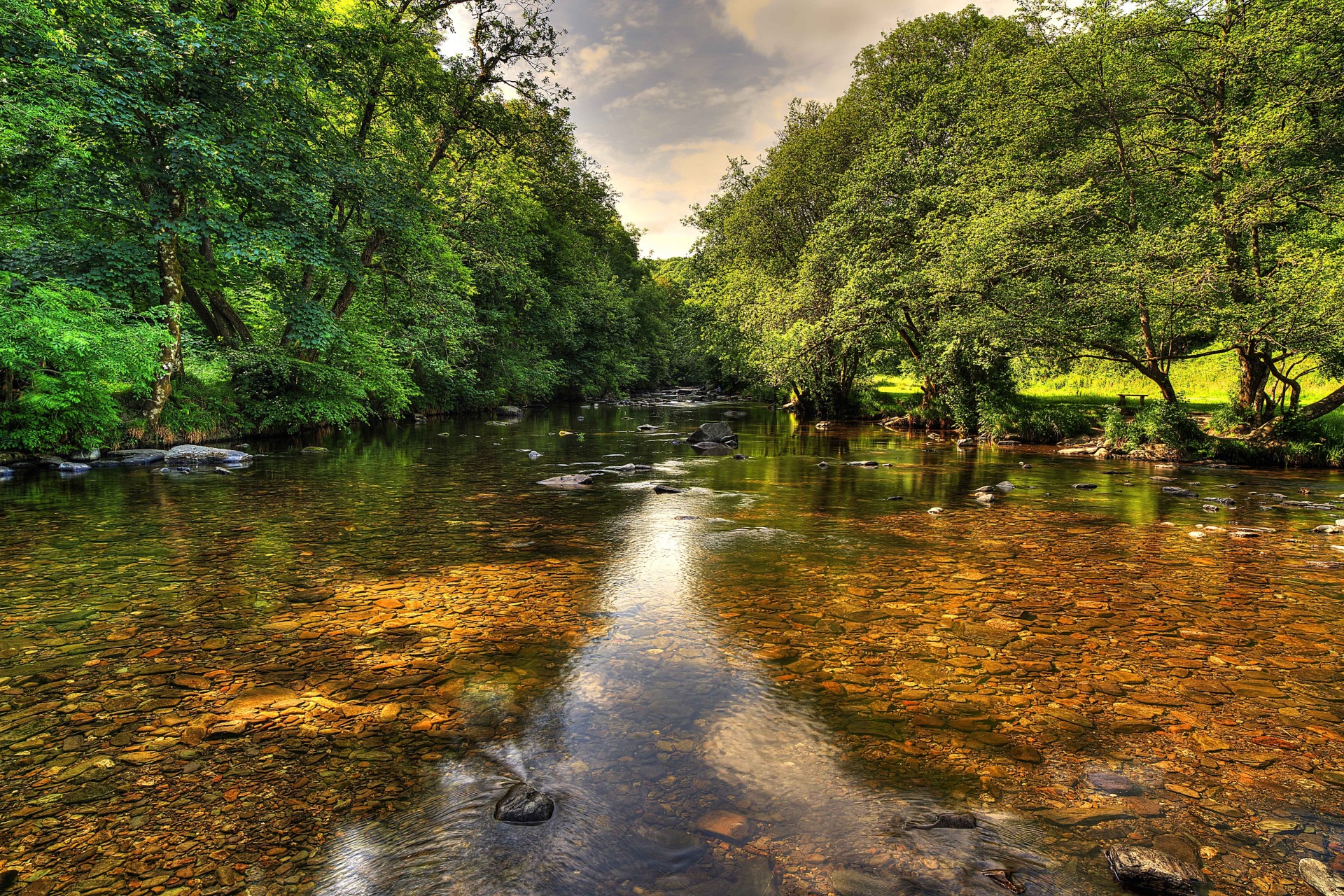 tree landscape river