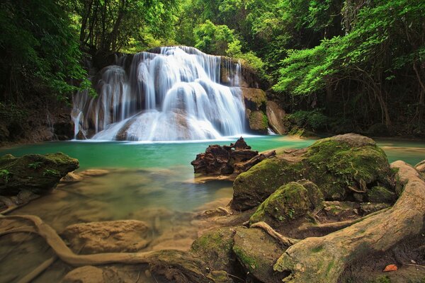 Der Wasserfall hat einen schönen Wald mit Steinen