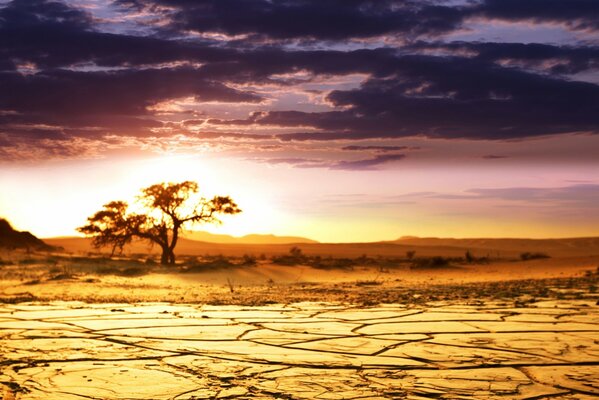 Sabana africana, tierra agrietada por la sequía