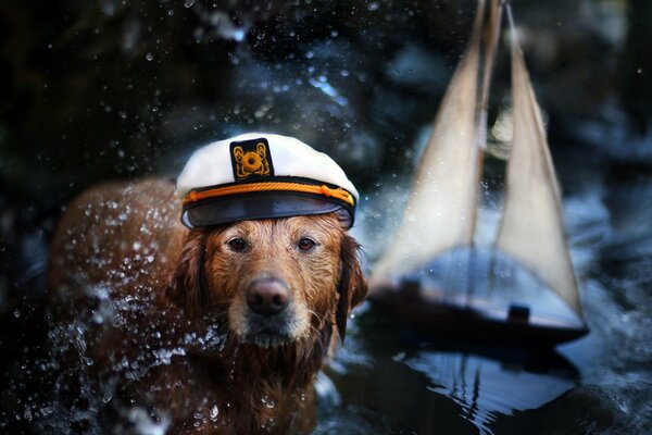 Dog captain with a ship in the background