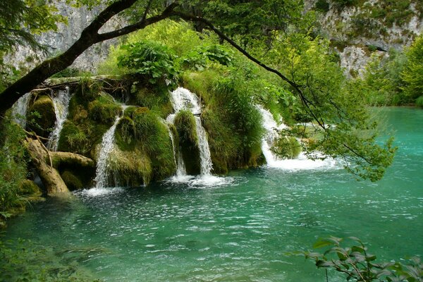 Ein Fluss mit kleinen Wasserfällen und Bäumen