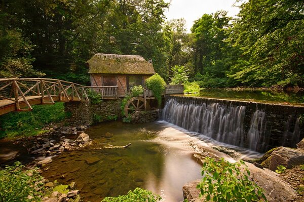 Ein tropisches Paradies. Die Ruhe des Wassers