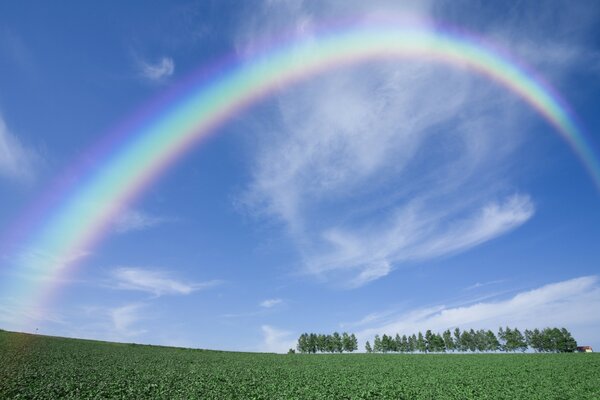 Cielo sereno con vista arcobaleno dal basso