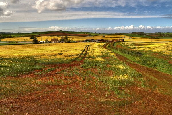 The road home, an interesting landscape