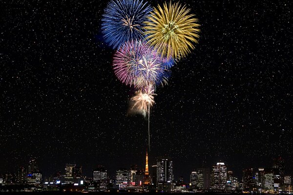 Schönes Feuerwerk in einer Sternennacht in einer Großstadt