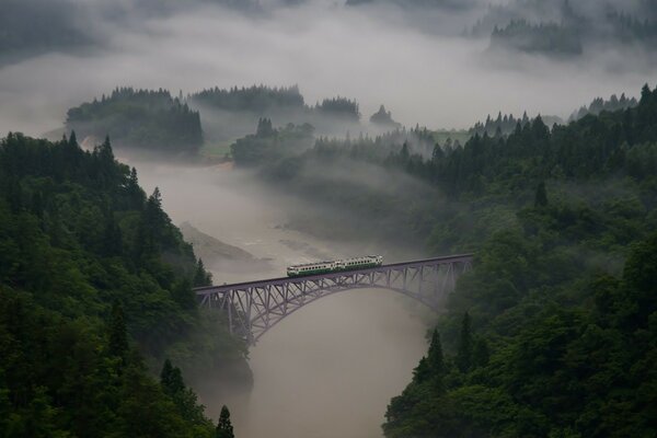 Der Zug fährt über eine Brücke über einen nebligen Wald