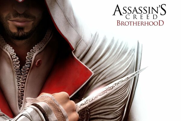 Assassino dall omonimo poster del gioco