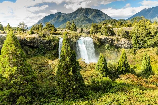 Cascata su Eon della foresta e della montagna