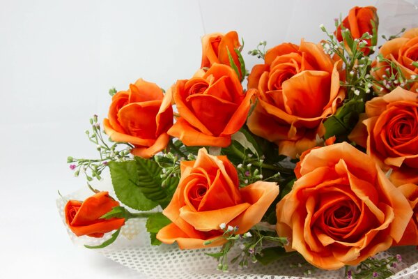 Bouquet of orange roses with a net