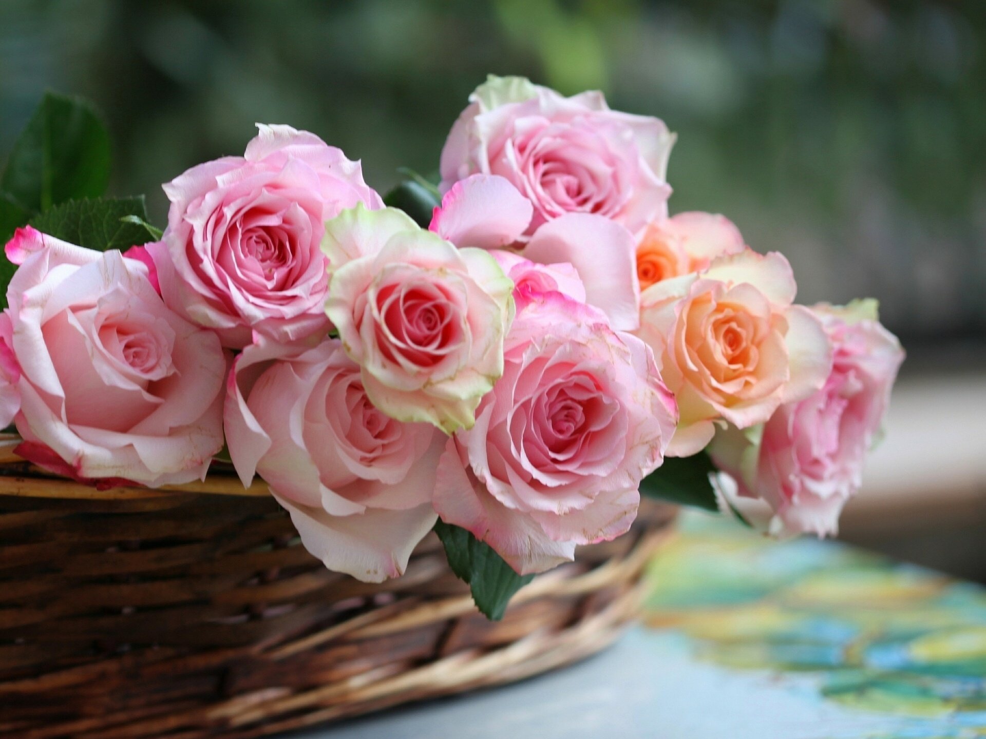 rosas capullos cesta c elena di guardo