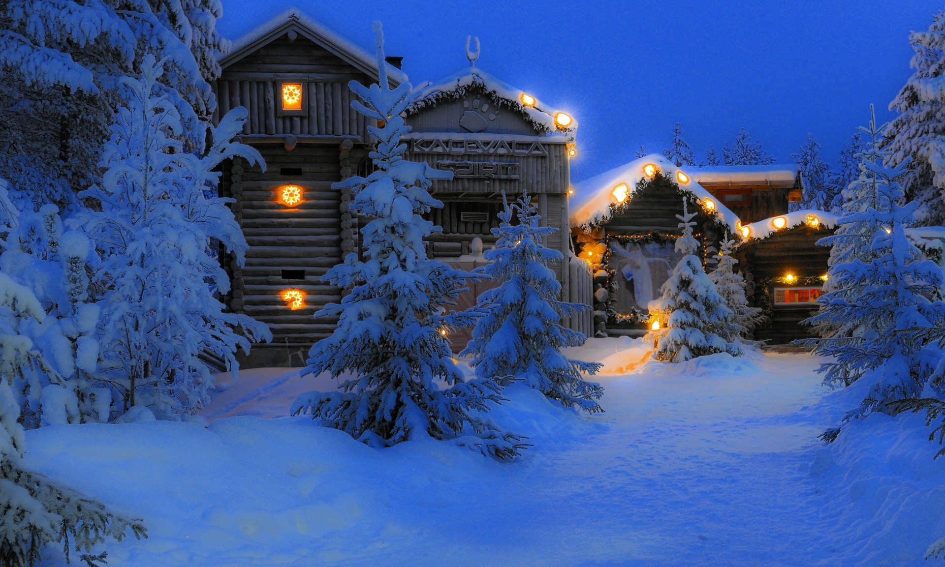 laponia finlandia noche árboles nieve casas