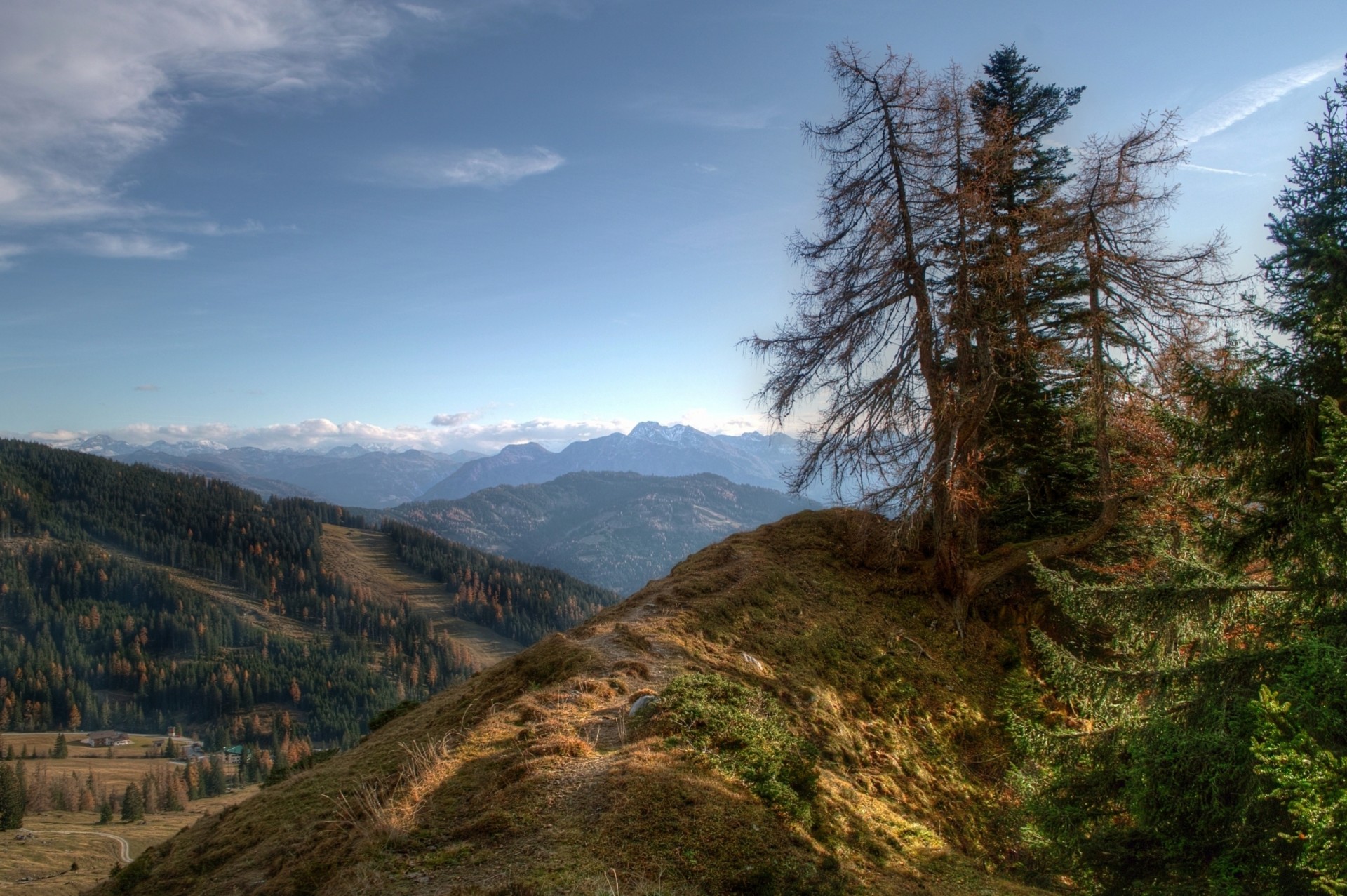 cielo montagne alberi natura