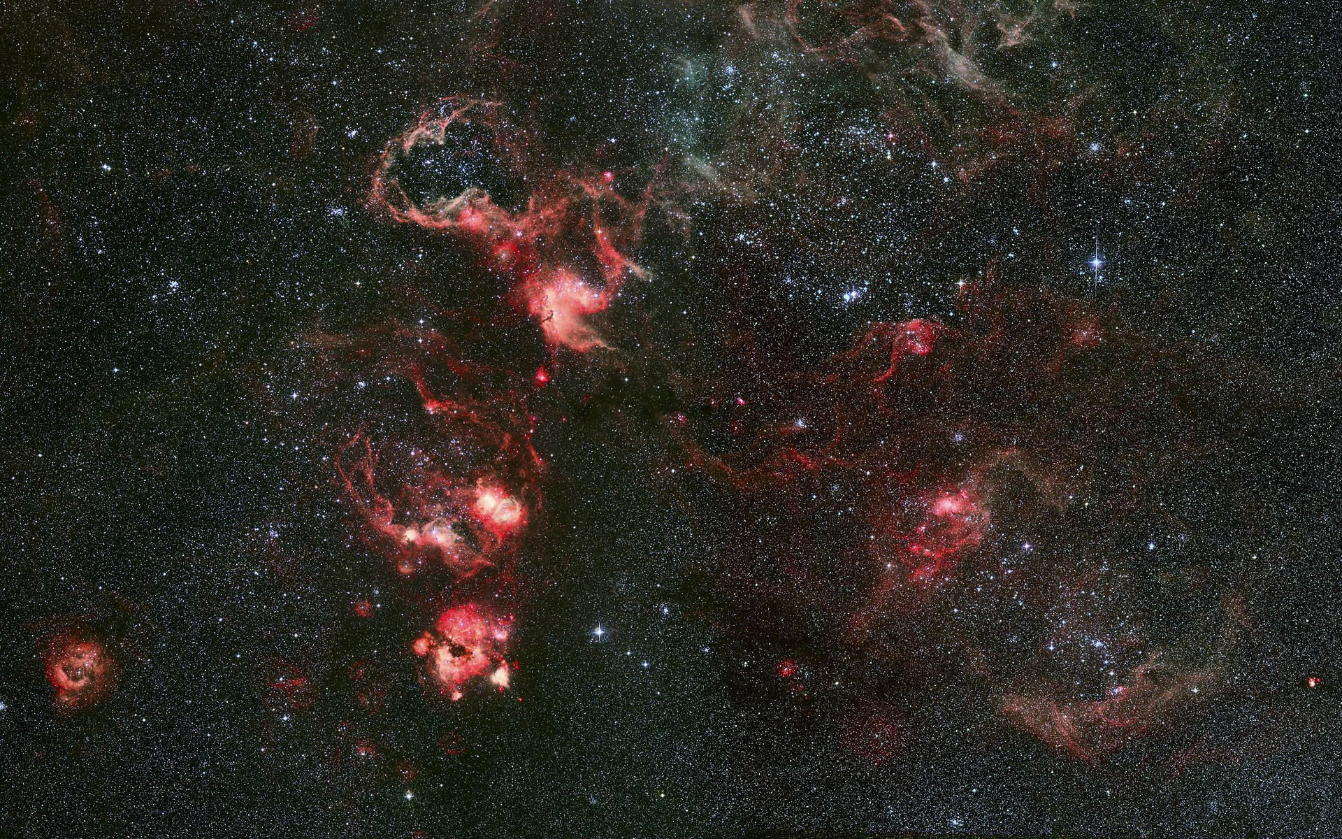 pesce d oro tarantola costellazione ngc 2070 nebulosa