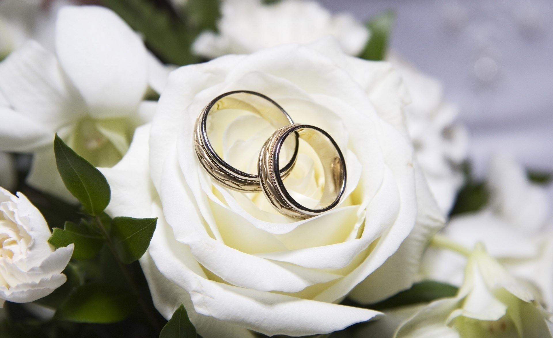 white wedding rose ring