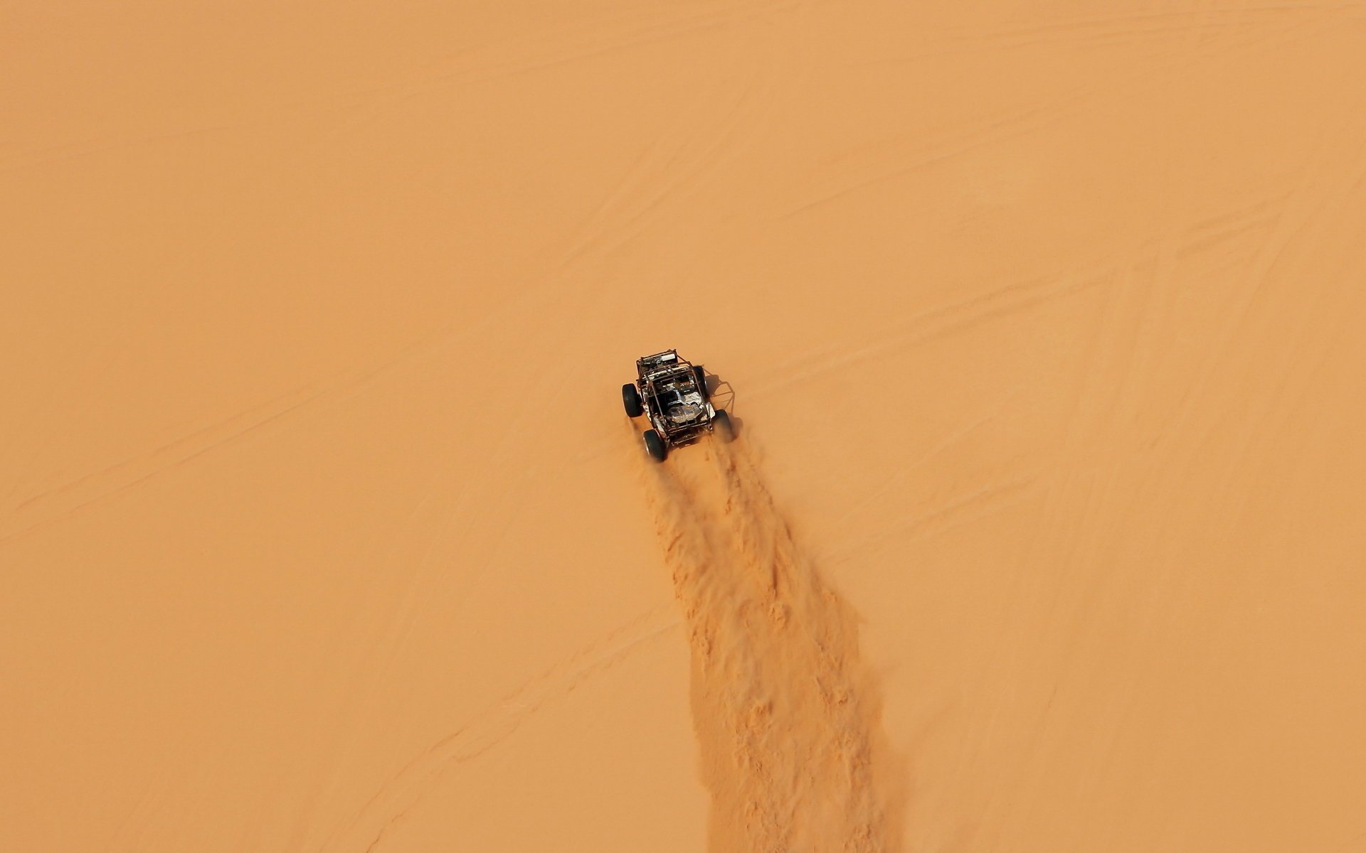 raleigh bugs sand desert