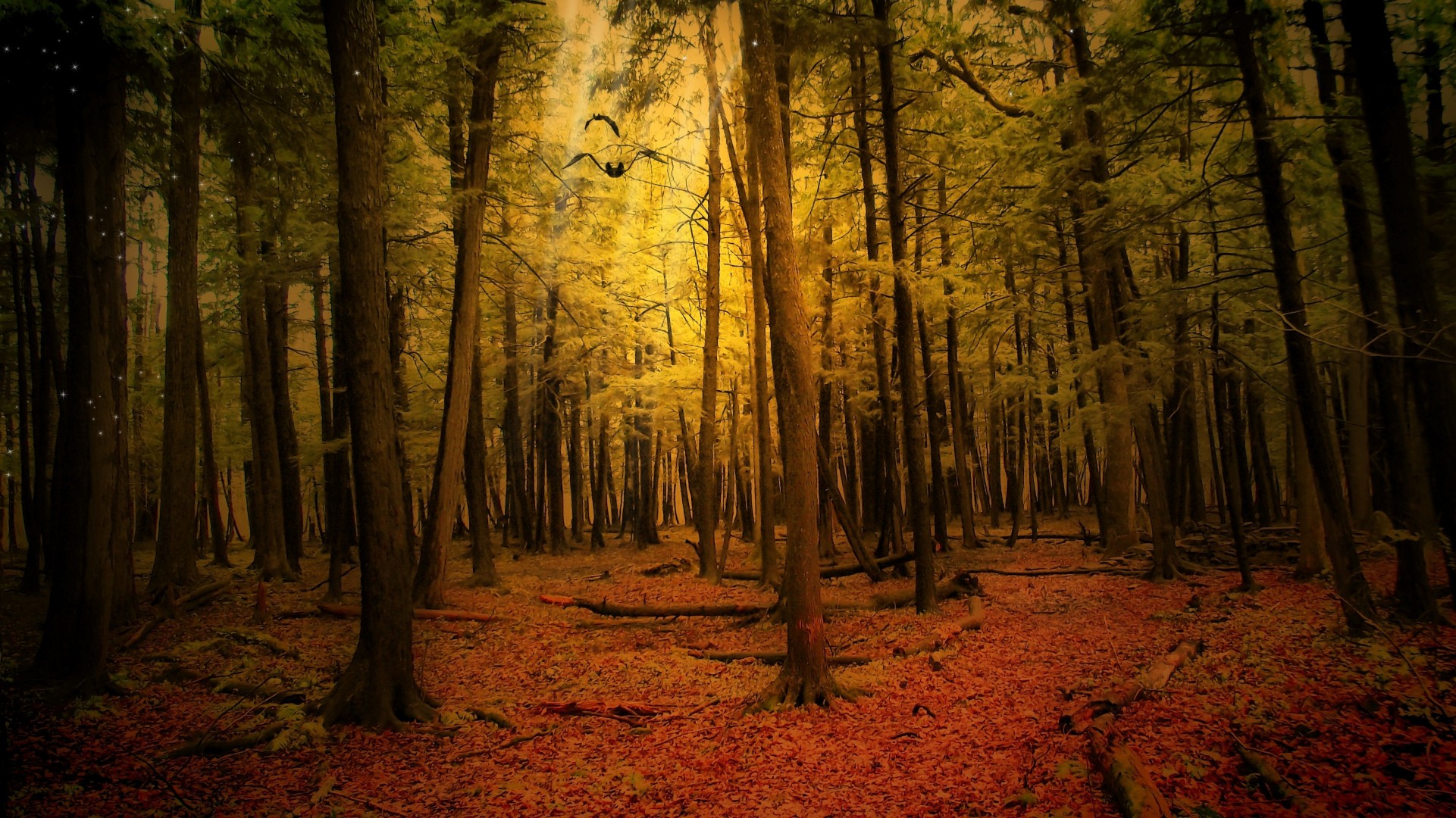 autumn landscape forest