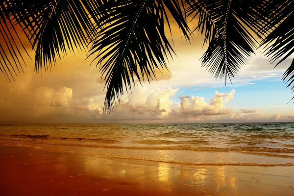 Beautiful sunset on the golden sand beach