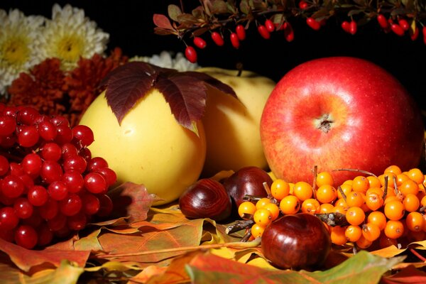 Belleza frutal y otoñal. Manzanas, peras, castañas, espino cerval de mar