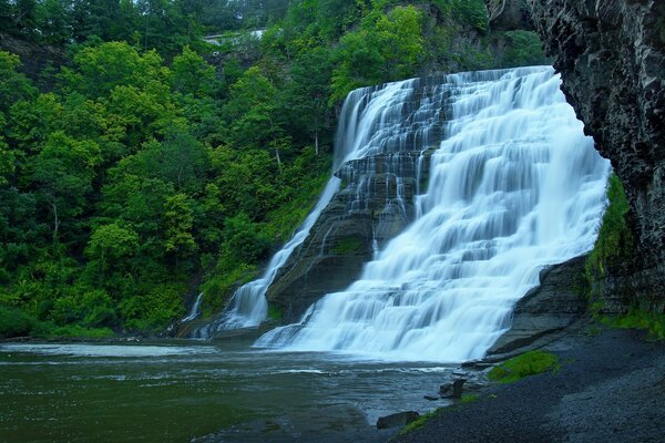 Cascading waterfall in the middle of the forest