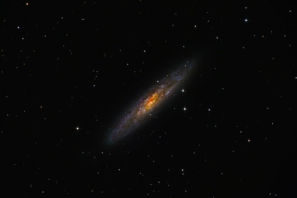 Die Galaxie ngc 253 und viele Sterne