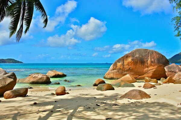 Rocks on the ocean