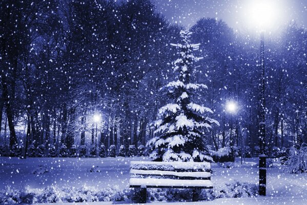 A Christmas tree dusted with snow in a winter park