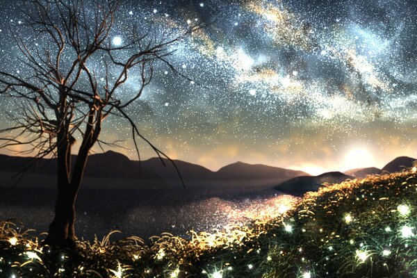 A tree against the background of the starry sky and the Milky Way. glowing grass