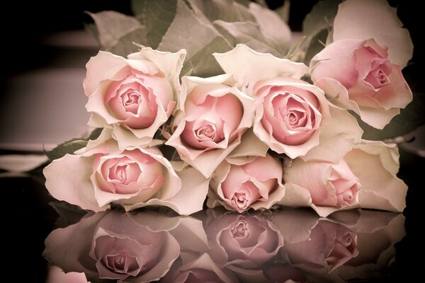 Bouquet de roses roses sur le miroir