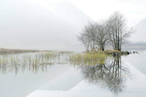 Lac du matin et brouillard au-dessus de l eau