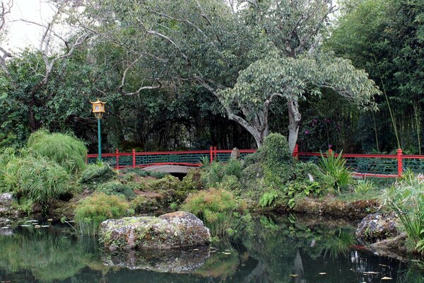 Étang dans le parc avec pont en Chine