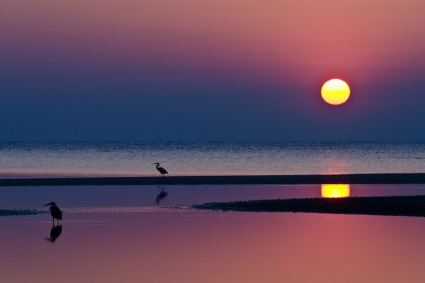 Sol solitario al atardecer