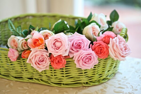 Korallen und rosa Rosen in einem grünen Weidenkorb