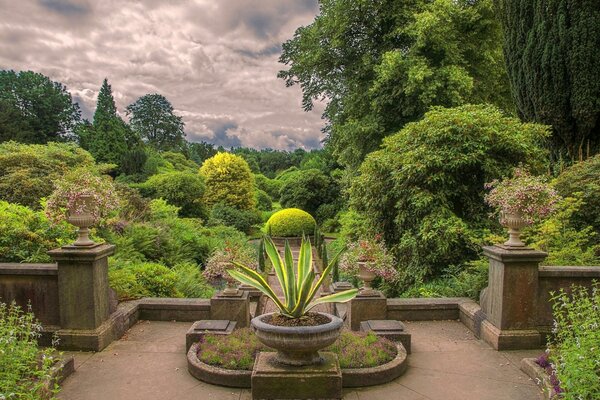 Parc en Angleterre avec des plantes vertes