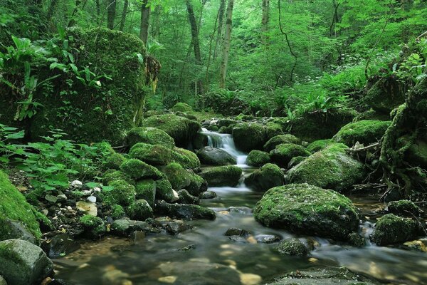 Breathtaking landscape. Water flowing down the stones