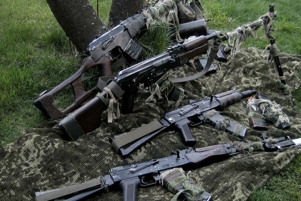 Fusils de sniper se trouvent près de l arbre