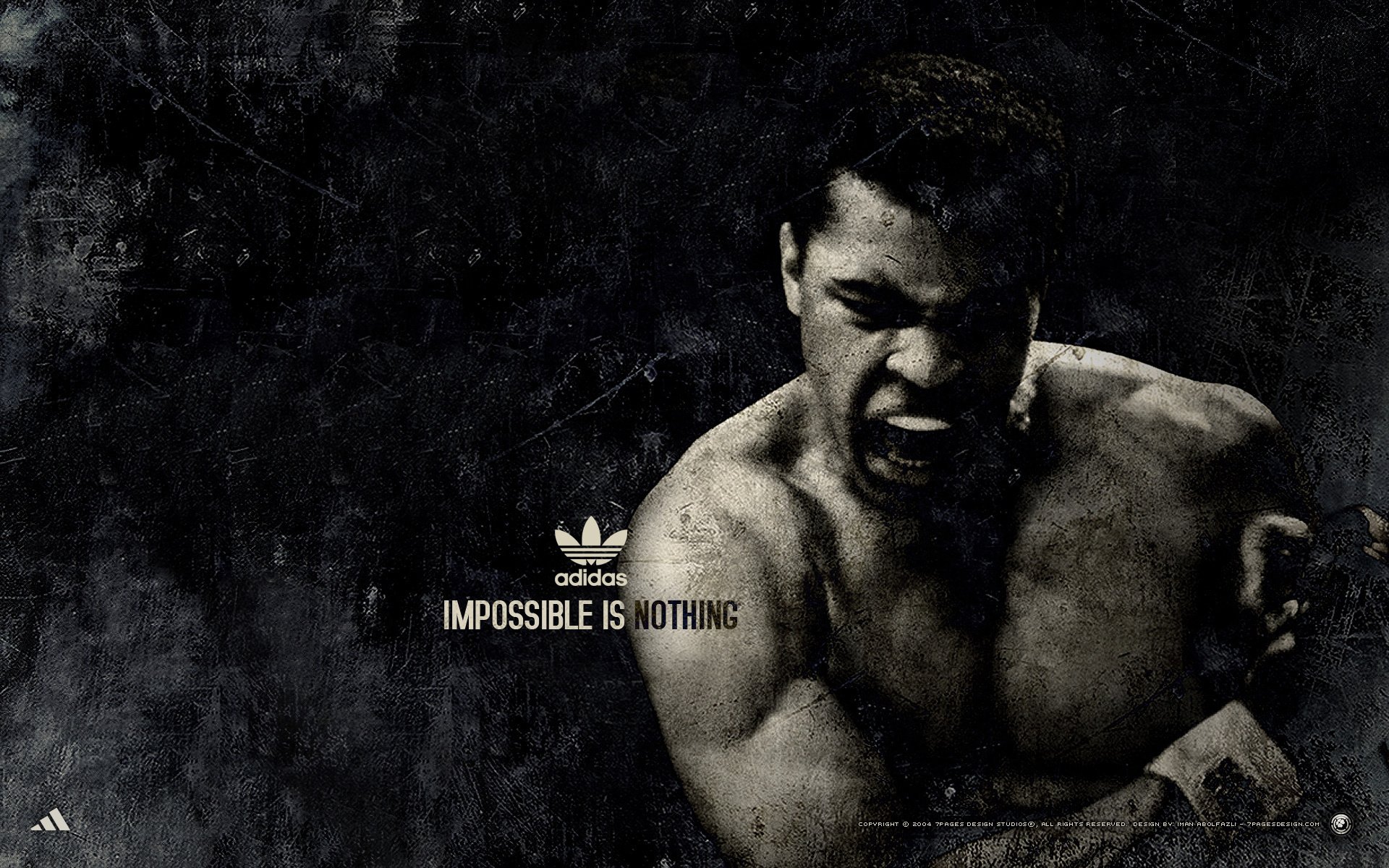 muhammad ali pugile sport adidas