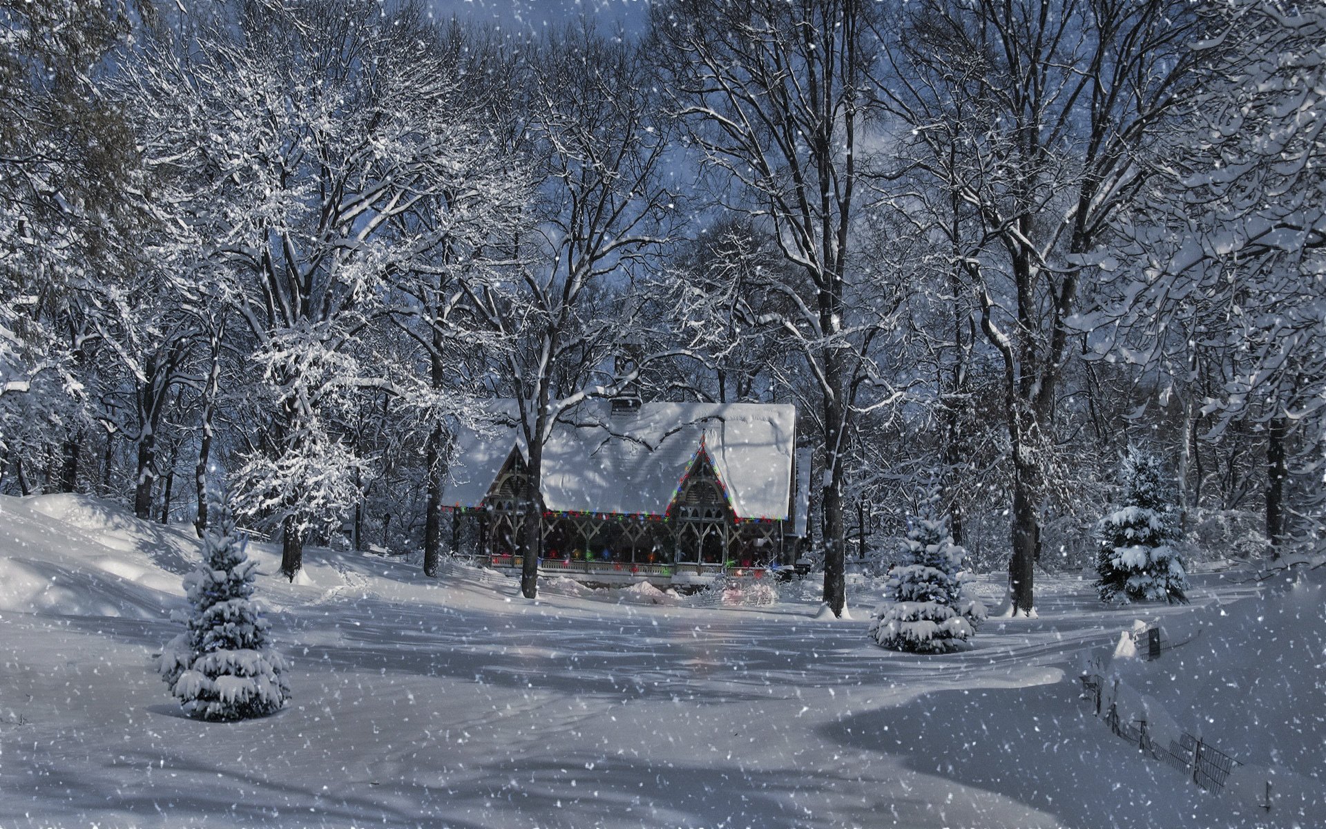 paesaggio luci neve foresta alberi inverno casa lampadine