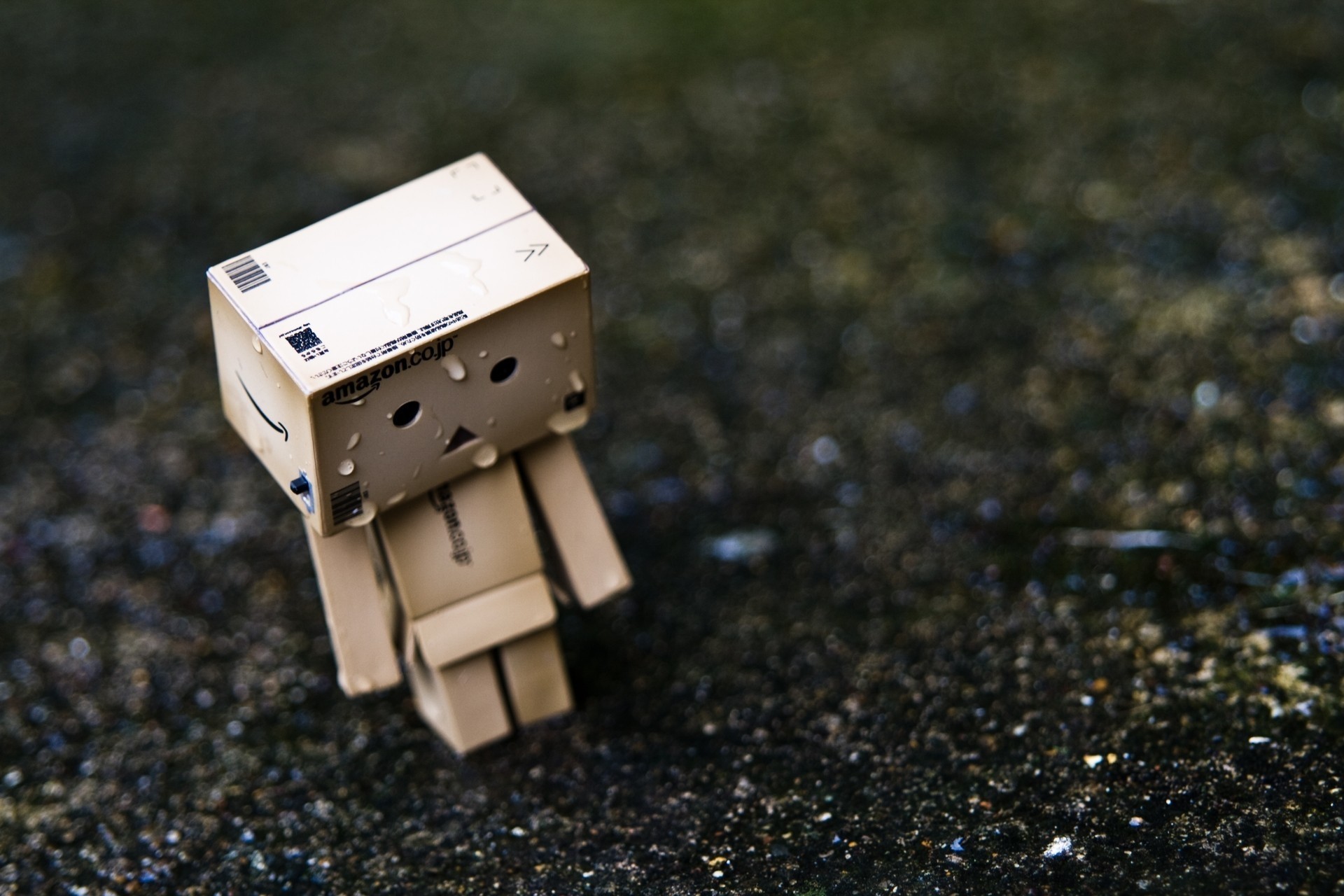 danbo regen einsam spielzeug