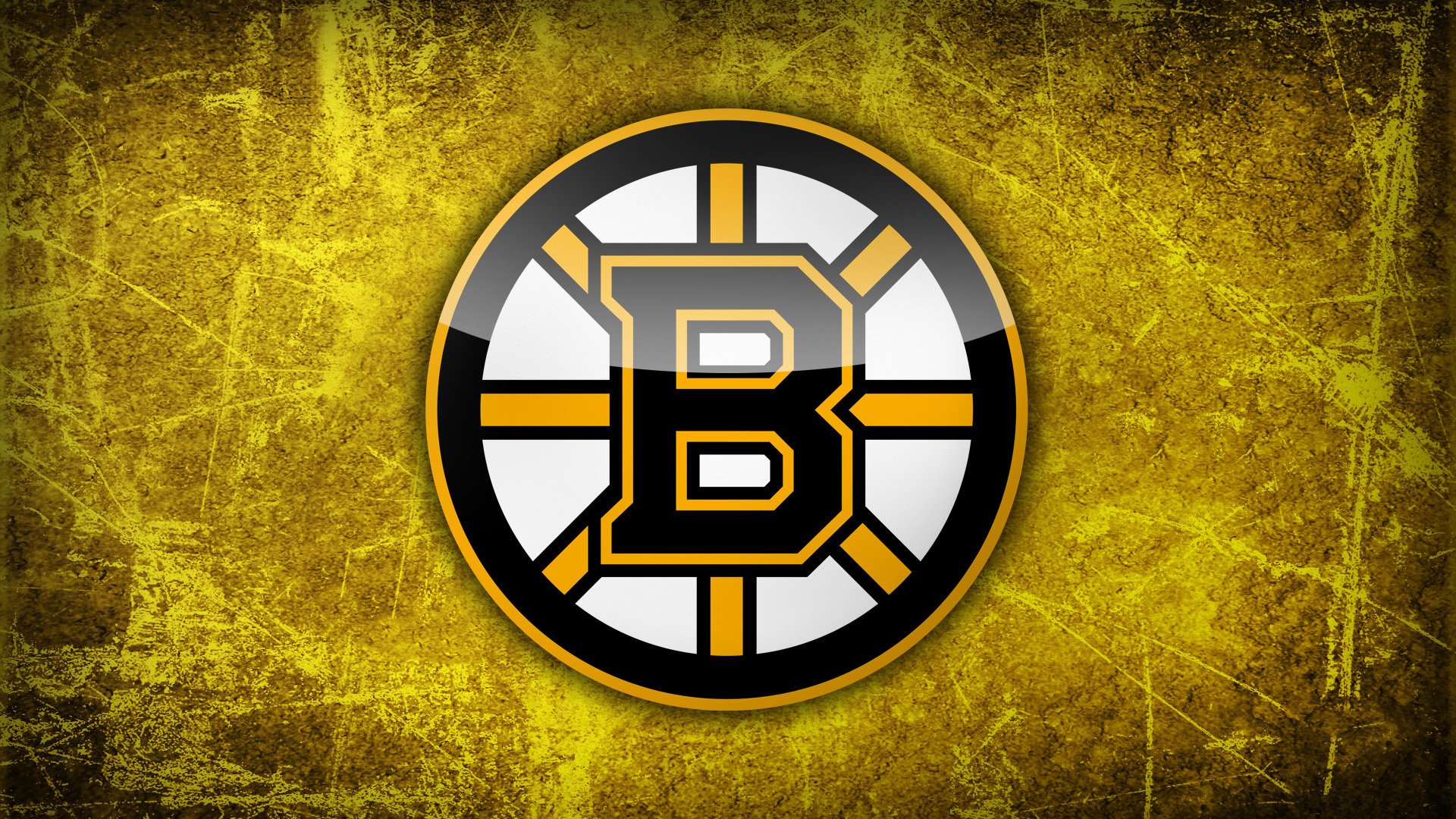 nhl boston bruin