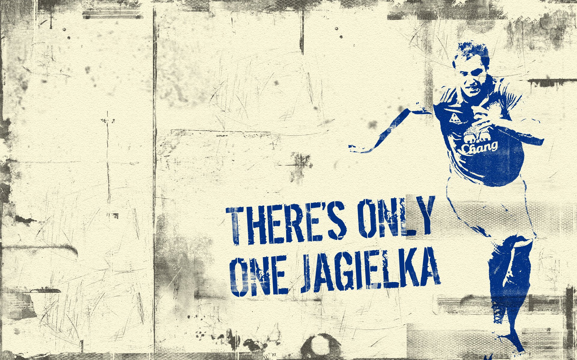 yagelka everton jagelka