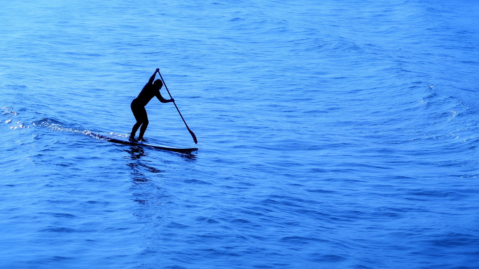 board paddle sea sport