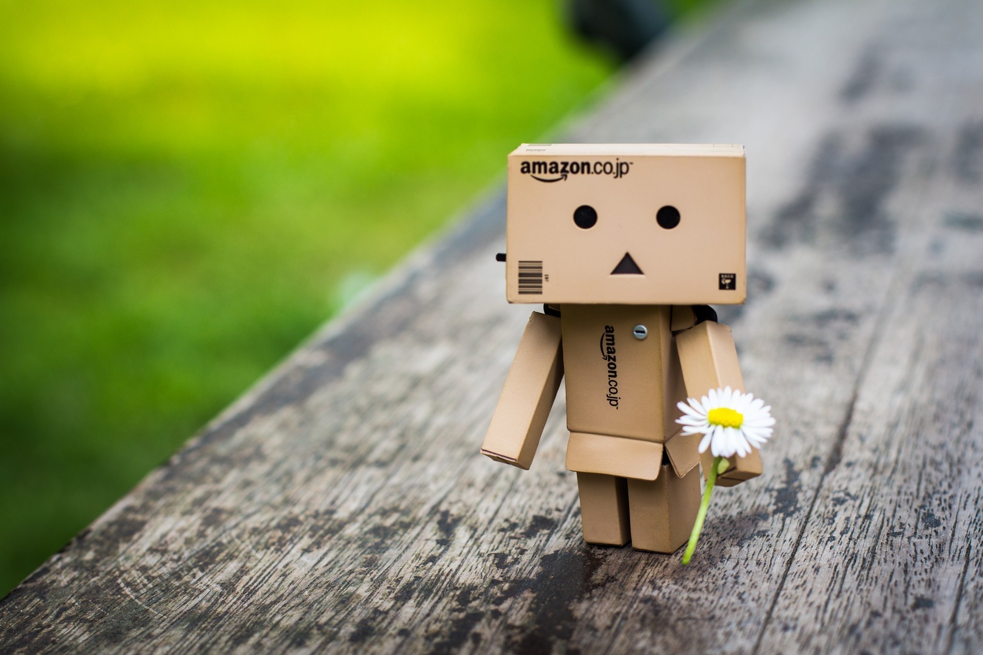 danbo di legno fiore