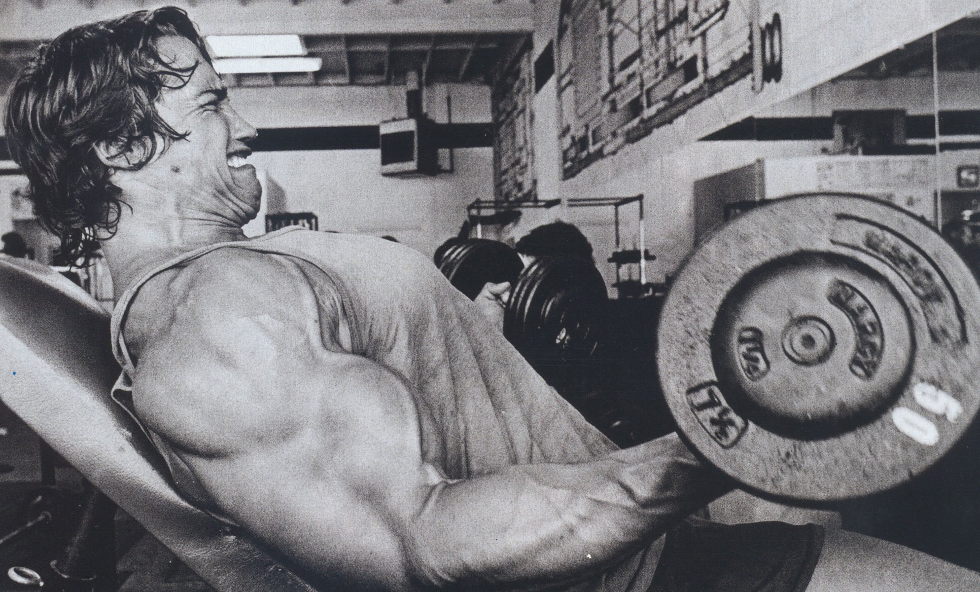 arnold schwarzenegger homme acteur haltères bascule gym