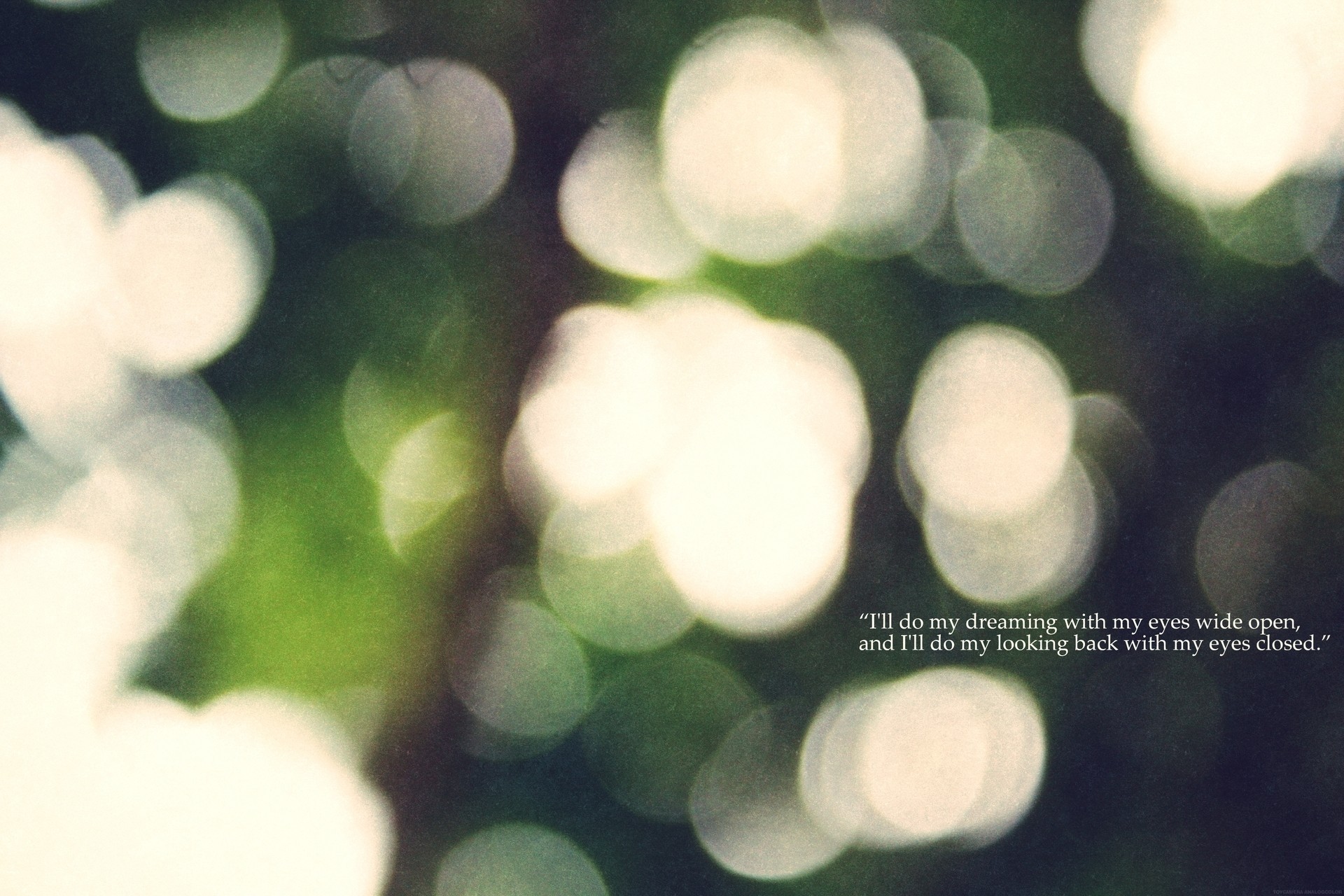 sueño bokeh árbol