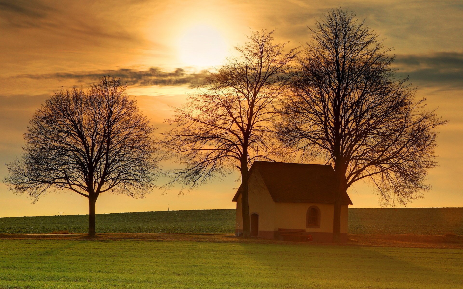 house trees field sunset