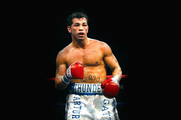 Boxer in gloves on a black background