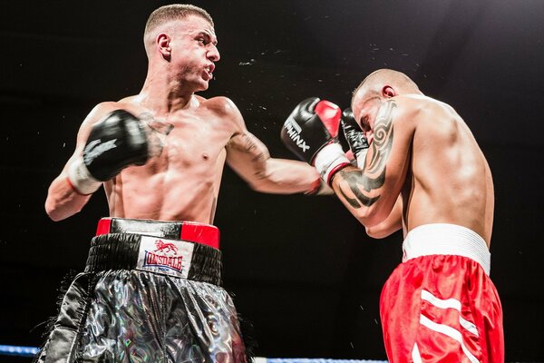 Sport zwei Boxer im Ring