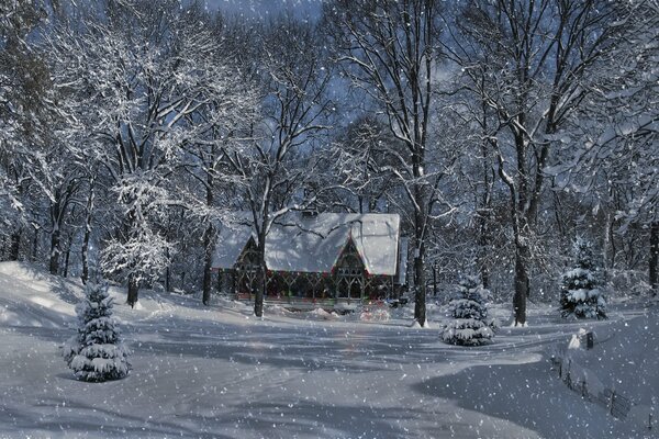 Paisaje de invierno, árboles en la nieve, casa en el bosque